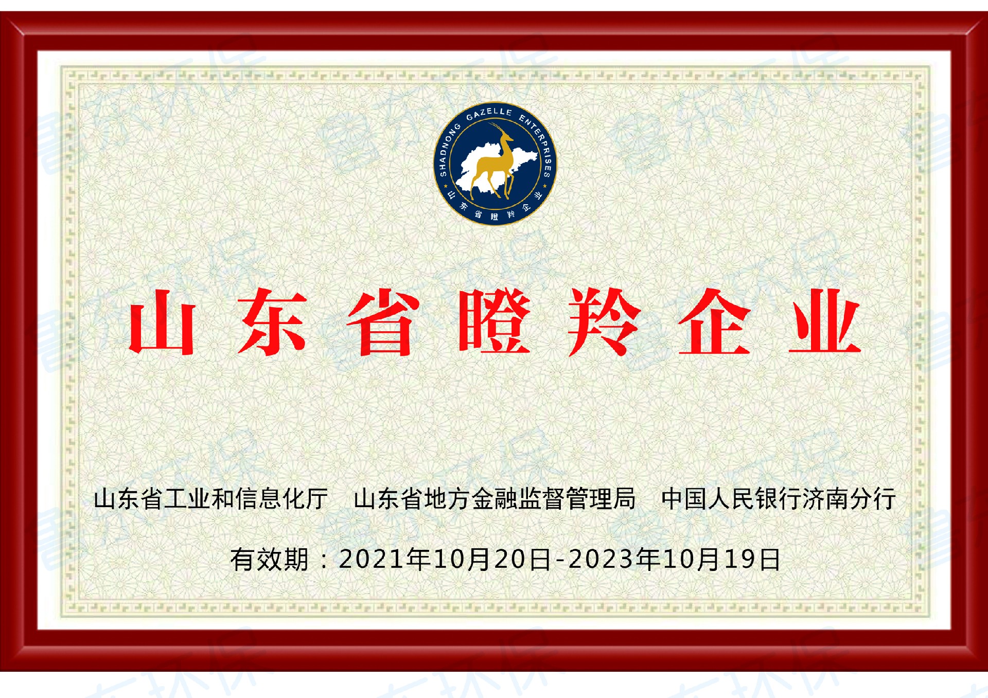 缓蚀阻垢剂厂家-山东省瞪羚企业